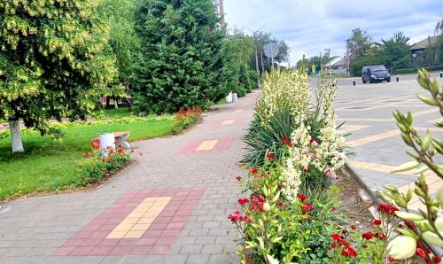 Площадь В.Ф. Потапьева (2)